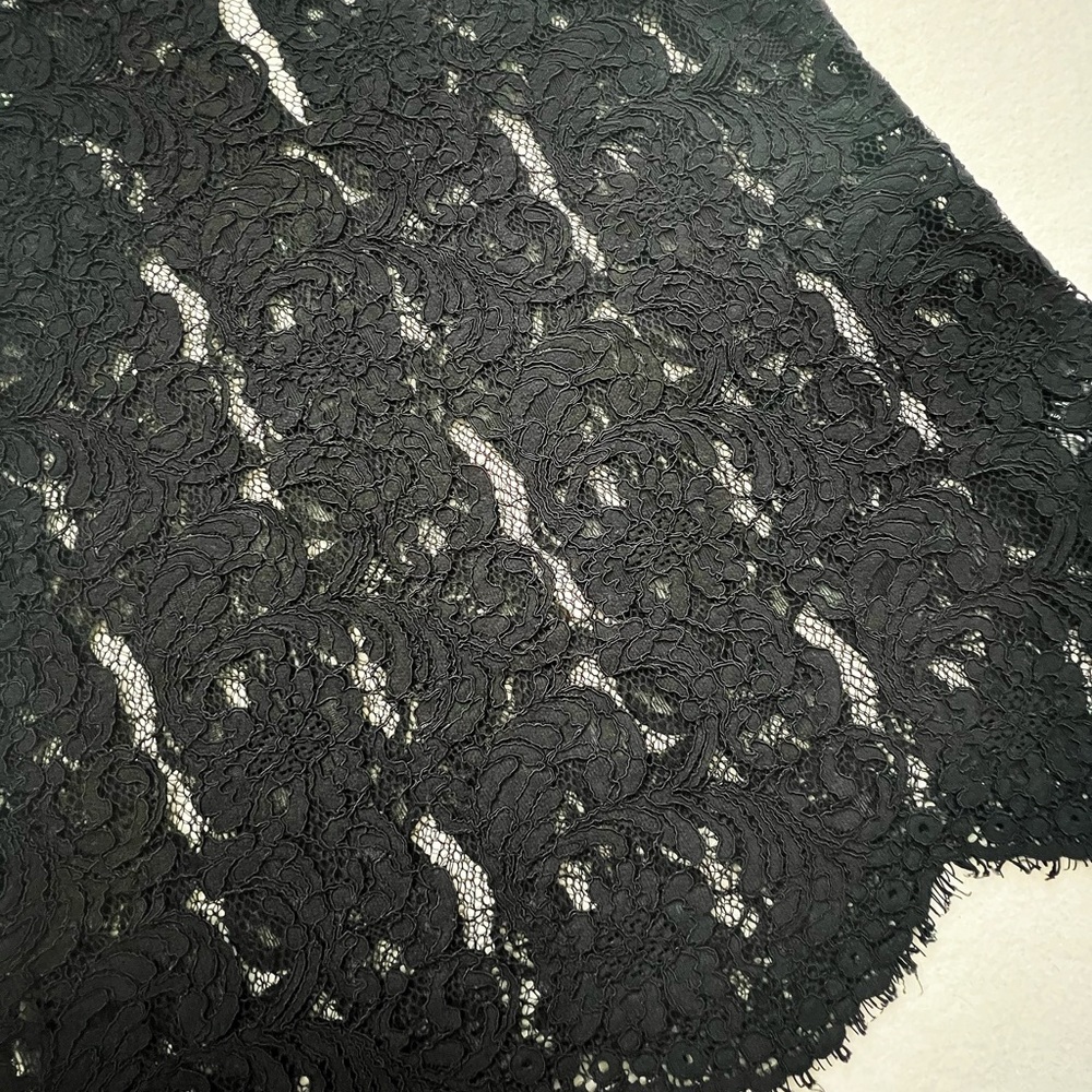 Aritzia Wilfred Black Lace Silk Trim Sleeveless Sheer Blouse XS Romantic Elegant - Picture 10 of 15